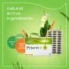 کپسول تقویت رشد مو و جلوگیری از ریزش مو پریورین Priorin hair bayer - تصویر 5