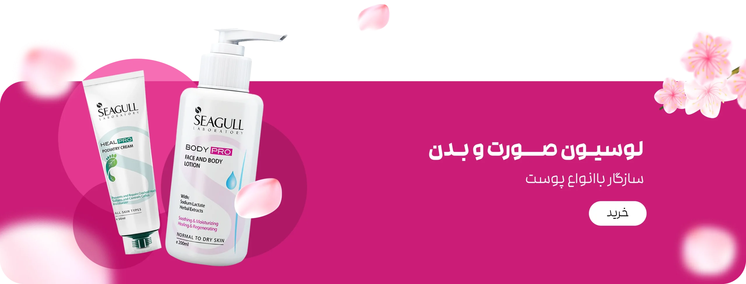 beauty new design WEBP scaled 1